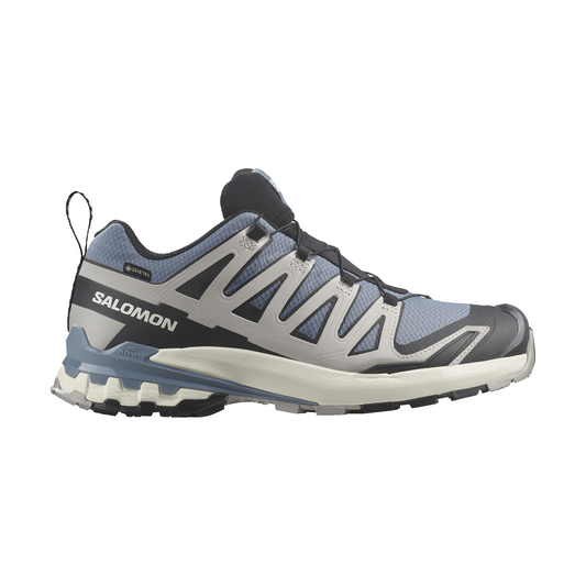 XA PRO 3D V9 GORE-TEX